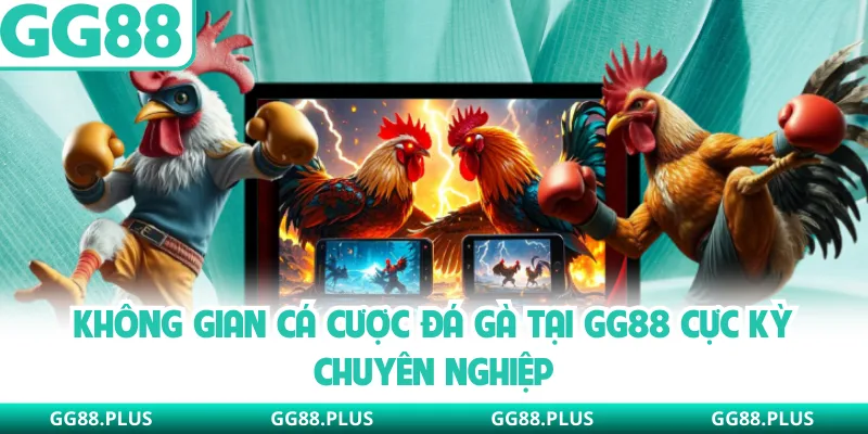 Không gian cá cược đá gà tại GG88 cực kỳ chuyên nghiệp